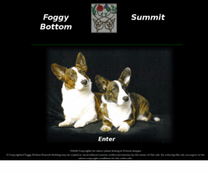 foggybottomusa.com: Foggy Bottom USA
Foggy Bottom Cardigan Welsh Corgis in Iowa