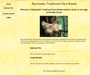 blackwater-trad-rare-breeds.co.uk: Welcome to Blackwater Traditional Rare Breeds based in Ower on the edge of the New Forest
Rare breed chickens, ducks & geese, traditional Poultry Houseing and also agents for Omlet, supplying Eglus.