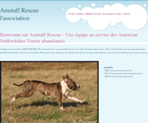 amstaff-rescue.org: Amstaff Rescue
Amstaff Rescue