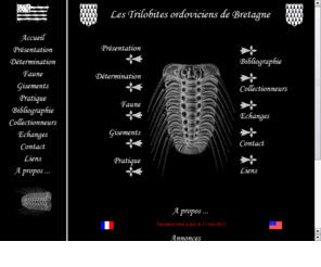 trilobites.fr: Les Trilobites ordoviciens de Bretagne
Les trilobites ordoviciens de Bretagne : photos, gisements, mode de vie, echanges, trilobite ...
