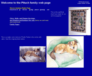pituch.net: Main page for the Pituch family
