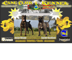dogocanario.com.br: cane corso italiano, cão corso italiano, dogo canário, presa canário, criador curitiba, criador paraná
Últimas Notícias: Buba dei Martinotti ganha Best in Show inédito no Brasil e Iara del Cane Club é campeã na Westminster 2011 - EUA, inédito na história. Visite o nosso imperdível website e confira. Cane Club Kennel, 