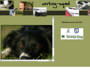 working-squad.de: working-squad
working-squad Schafzucht Border Collie Zucht in Nordhessen, Wabern, Melsungen