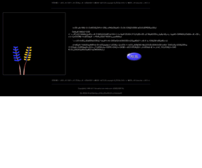 metcn.com: ԼйΨӰ