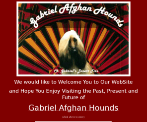 gabrielafghanhounds.com: Gabriel Afghan Hounds
Gabriel Afghans Show and Pet Puppies