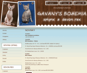 gavanysbohemia-cats.cz: Chovatelská stanice koček sphynx (sfinx) a devon rex -  Gavany's Bohemia *CZ
