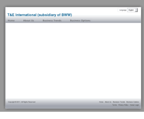 te-international.com: T&E International (subsidiary of BWW)
