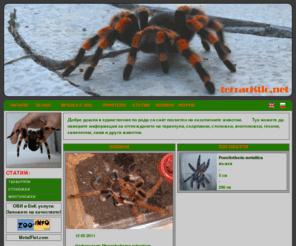 terraristic.net: terraristic.net - Екзотични животни
Екзотични животни: тарантули, скорпиони, стоножки, многоножки, гекони, хамелеони, змии