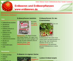 erdbeeren.com: Erdbeeren Erdbeerpflanzen und Erdbeerrezepte bei www.erdbeeren.de
Alles zu Erdbeeren und Erdbeerpflanzen, Anbau, Pflanzenvermehrung, Erdbeer-Rezepte, Erdbeerpflanzen online bestellen