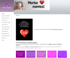 morkie-puppies.info: Morkie Puppies - Home
Welcome to Morkie Puppies, all abut the adorable result of a Maltese dog having pups with a Yorkshire Terrier! The Morkie - cutest puppy ever!