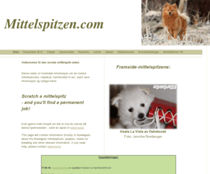 mittelspitzen.com: mittelspitzen.com
