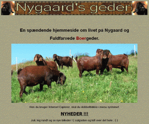 rostrupvej.dk: Nygaard's geder
