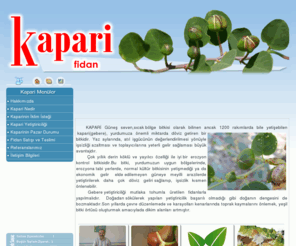 kaparifidan.com: Kapari Fidanı, Üretimi, Yetiştirilmesi  ve Pazarlaması
Kapari Fidanı, Kapari yetiştiriciliği, kapari hakkında temel üretim ve pazarlama bilgileri