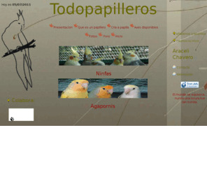 todopapilleros.es: Todo Papilleros
Pagina web dedicada la cria de aves, en especial papilleros, donde podras obtener toda la informacion necesaria para su cria y otras cosas interesantes.