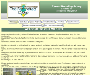 thefeatheredcoop.com: Breeder of Amazons, Bourkes, Budgies, Caiques, Cockatiels, Conures, Finches, Grasskeets, Lovebirds, Parakeets, Parrotlets, Ringnecks, Quakers
We are a closed breeding aviary of Cordon Bleu Finches, Lady Gouldian Finches, Zebra Finches, American Parakeets, English Budgies, Rosy Bourkes, Scarlet Chested Grasskeets, Cockatiels, Lovebirds (Black Masked, Fischer's, Peach Faced), Pacific Parrotlets (Green, Blue), Sun Conures, Nanday Conures, Blue Crowned Conures, Brown Throated Conures, Jenday Conures, Black Capped Conures, Green Cheeked Conures (Normal, Cinnamon), Maroon-Bellied Conures, Orange Winged Amazons, and Quakers (Green, Blue) located in Frederick, Maryland