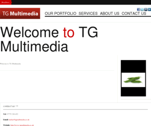 tgmultimedia.co.uk: TG Multimedia
TG Multimedia