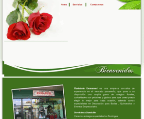 floristeriaemmanuel.com: floristeriaemmanuel
floristeria emanuel