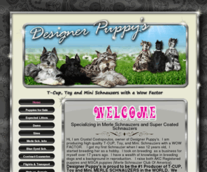 bluemerleschnauzers.com: Toy & Mini Schnauzer Puppies for Sale Parti Schnauzer Breeders TeaCup Schnauzers
Mini Designers Puppy’s is located in Delta Colorado. Mini Designers Puppy’s Specializes in Toy & Mini Schnauzer Puppies for sale, Parti Schnauzer Breeders, and TeaCup Schnauzers