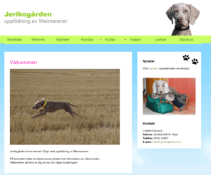 jerikogardens.com: Jerikogårdens kennel
Välkommen till Jerikogården! Vi finns i Deje och har uppfödning av Weimaraner.