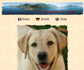 du-cubly.ch: Elevage familial des Labradors du Cubly  Accueil
Kaly Minto du Gourd, labrador retriver. Son pedigree, ses documents officiels, ses photos. Ses portées et les chiots en photos.