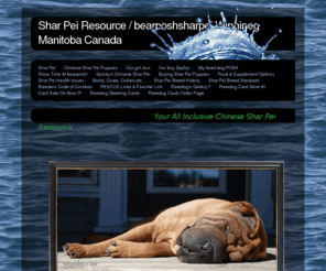 bearposhsharpei.com: Shar Pei - Shar Pei Resource / bearposhsharpei  Winnipeg Manitoba Canada
Chinese Shar Pei resource