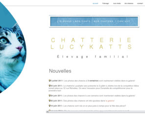 lucykatts.info: Chatterie Lucykatts - NFO
Chatterie Lucykatts, élevage familial de chats norvegiens.