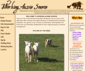 workingaussiesource.com: Welcome to Working Aussie Source
Directory of breeders of Australian Shepherds specifically for herding livestock. Resources and information on working cowdogs and sheepdogs. Stockdog training articles. Stockdog trial calendars.