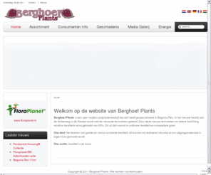 begoniarex.com: Berghoef Plants - Berghoef Plants
Berghoef Plants is een zeer modern potplantenbedrijf dat zich heeft gespecialiseed in Begonia Rex.