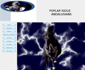 preandalusians.com: 
<meta name=