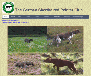 gsp.org.uk: GSP | German Shorthaired Pointer Club
