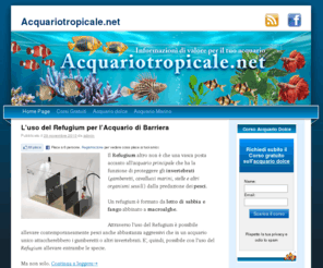acquariotropicale.net: Acquariotropicale.net
Informazioni di valore per il tuo acquario!