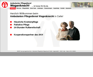 xn--strung-xxa.com: Ambulanter Pflegedienst Wagenknecht GmbH
 