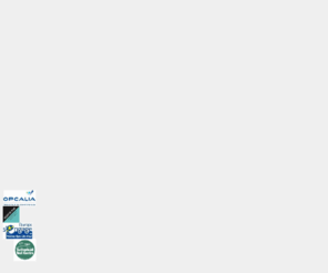 amalthee-lingua.com: AMALTHEE LINGUA - ECOLE DES LANGUES ETRANGERES - TRADUCTION - INTERPRETARIAT a Saint Raphael
Amalthee Lingua est un Centre International de Langues Etrangères dont la spécialité depuis 10 ans est l'apprentissage des langues: Anglais Italien, Espagnol, Allemand, Arabe, Russe, Néerlandais, Japonais, Français pour les étrangers.
Vous avez le choix entre prendre des cours dans notre école, à votre domicile ou par téléphone pour les entreprises.