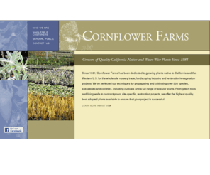 cornflowerfarms.com: California Native Plants - Cornflower Farms
Nursery growers of container stock California native plants, perennials, grasses, ornamentals, contract grown native restoration revegetation plants, lining out stock, supercells, deepots, treepots and treebands.