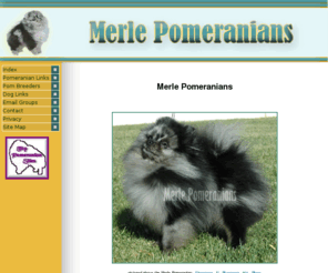 merlepomeranian.com: Merle Pomeranians - Index
Merle Pomeranian - The purpose of the site is to provide accurate and helpful information regarding Merle Pomeranians.