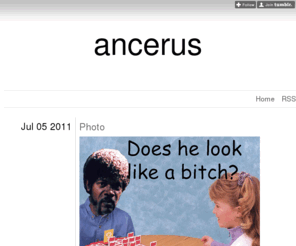 ancerus.com: ancerus
Never underestimate the power of stupid people in large groups
