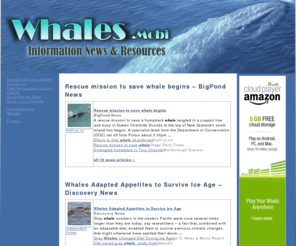 whales.mobi: Whales.mobi. Whales in the news
Whales in the news