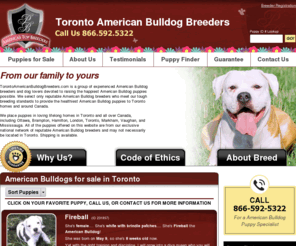 torontoamericanbulldogbreeders.com: Toronto American Bulldog Breeders.com
Toronto American Bulldog Breeders.com is a group of loving American Bulldog breeders and dog lovers devoted to producing the healthiest American Bulldog puppies possible.