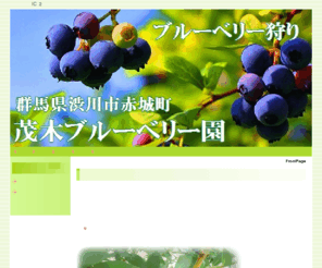 mogi-blueberry.com: 赤城高原　茂木ブルーベリー園
赤城高原でブルーベリーの栽培をしている茂木ブルーベリー園です。摘み取りの外、販売、全国発送も承っております。赤城高原のおいしい空気で育った新鮮でみずみずしいブルーベリーを是非ご賞味ください。お子様連れも大歓迎ですので、夏休みの思い出に、ぜひお出かけください。