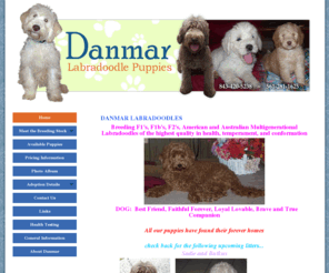 danmarlabradoodles.com: Australian Labradoodles Labradoodle Puppies For Sale South Carolina
Danmar Labradoodles Specializes In Australian Labradoodles and Labradoodle Puppies For Sale In South Carolina as well as many more services.