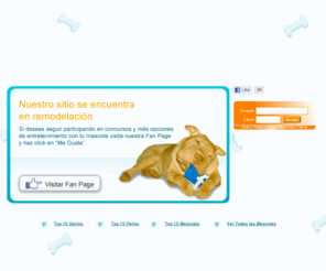 mascotasconglamour.com: Mascotas con Glamour :: reinado virtual de mascotas :: mascotas
MascotasconGlamour.com es un espacio donde los usuarios inscritos pueden presentar sus mascotas al público y participar en el primer reinado virtual de mascotas del mundo.