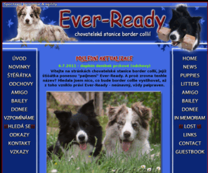 ever-ready.cz: .: EVER-READY :.   .: BORDER COLLIE :.   .: BORDER KOLIE :.
