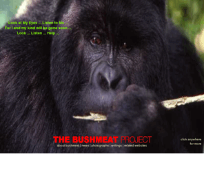 Bushmeat.net: Bushmeat Project; Save the Great Apes; Chimps,Gorillas