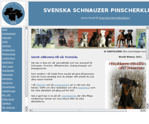 sspk.se: Svenska Schnauzer Pinscherklubben
Specialklubben fr Schnauzer och Pinscher raserna i Sverige