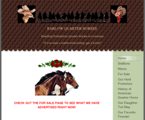 barlowquarterhorses.com: My Business - Home
KINGS ZANTANON PASSED AWAY 9-21-10