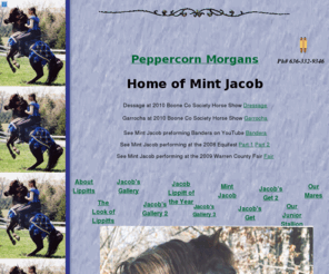 peppercornmorgans.com: 
horses, lippitt, morgan, peppercorn morgans, mint jacob