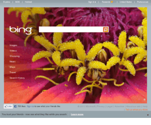 biing.com: Bing
Bing is a search engine that finds and organizes the answers you need so you can make faster, more informed decisions.