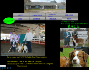 mainedogtraining.net: CANINE CONNECTION
canine connection,agility,dog trainer,Thom Lambert,Tom,Lambert,dog,trainer,lessonsThis web site has been created technology from Avanquest Publishing USA, Inc.