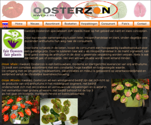 oosterzon.nl: Oosterzon
beschrijving