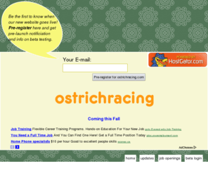 ostrichracing.com: Ostrich Racing - OstrichRacing.com
A site about Ostrich racing, which is like horse racing except people ride on top of ostriches and race around the track.